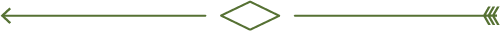 __divisor_3 __divisor_3