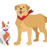 ronco_PET-06