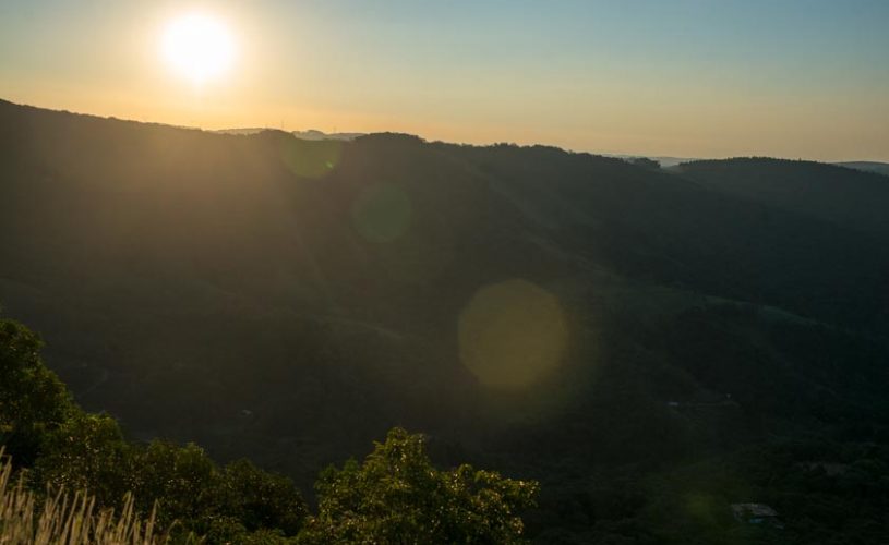 Sustentável pra quê?