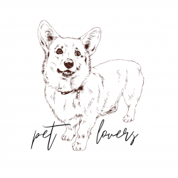 pet.site