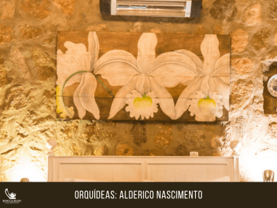 Suite 12 - Alderico